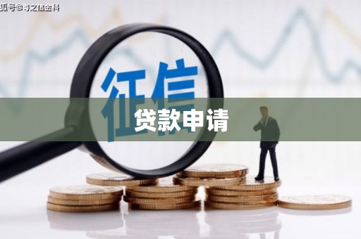隆子贷款申请
