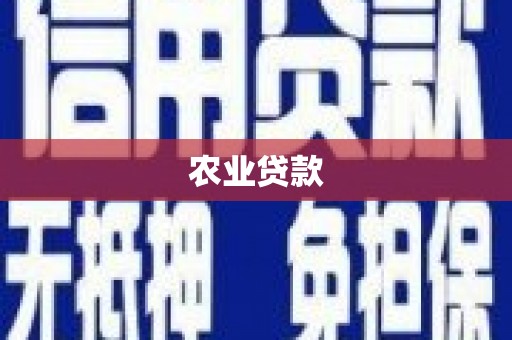 苏尼特右旗农业贷款
