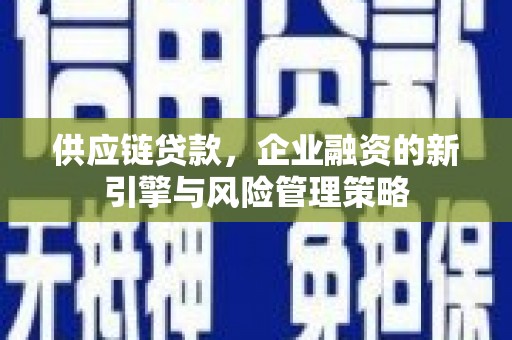 顺平供应链贷款，企业融资的新引擎与风险管理策略