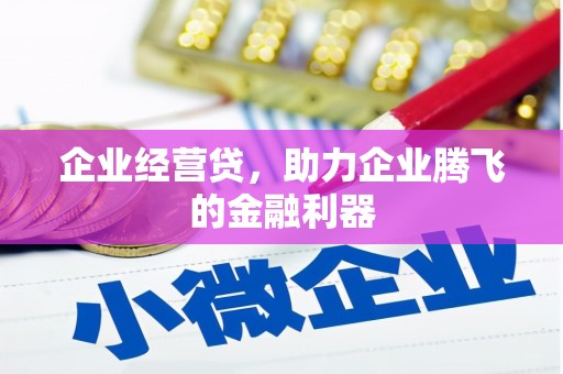 大安企业经营贷，助力企业腾飞的金融利器
