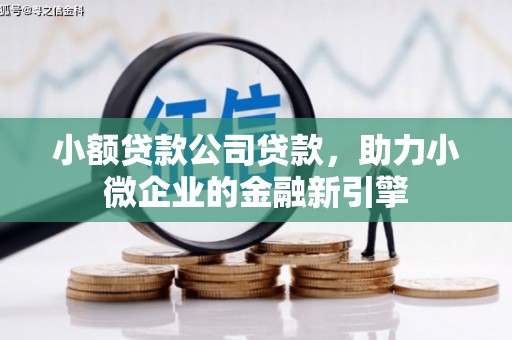 谯城小额贷款公司贷款，助力小微企业的金融新引擎