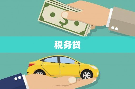 莱山税务贷