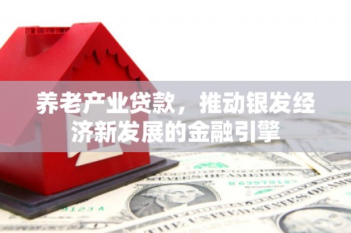 云和养老产业贷款，推动银发经济新发展的金融引擎