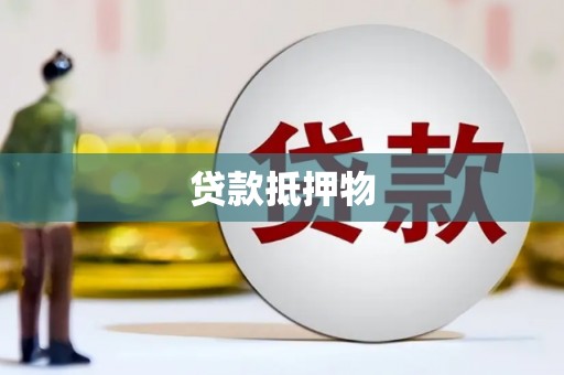 龙陵贷款抵押物