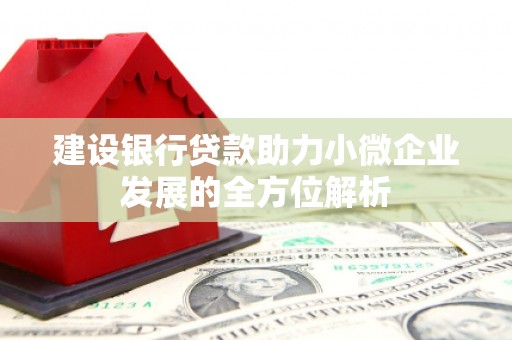 台西建设银行贷款助力小微企业发展的全方位解析