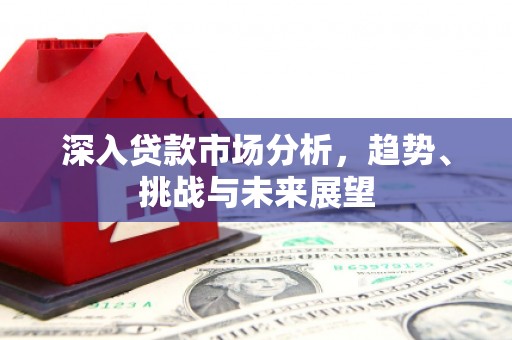 碌曲深入贷款市场分析，趋势、挑战与未来展望