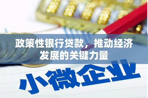沙鹿政策性银行贷款，推动经济发展的关键力量