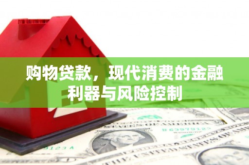 镇康购物贷款，现代消费的金融利器与风险控制
