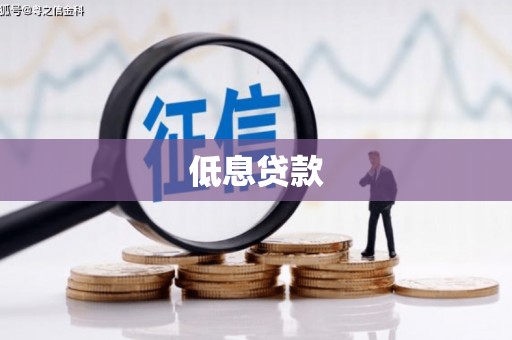 法库低息贷款