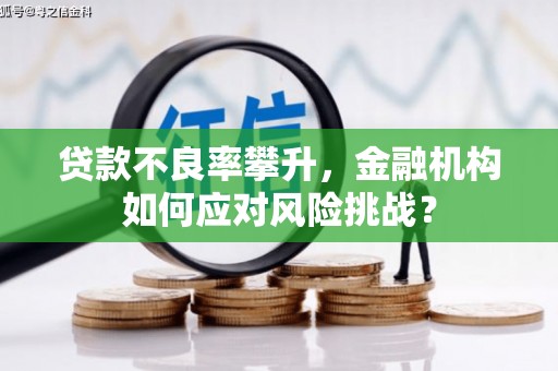 达拉特旗贷款不良率攀升，金融机构如何应对风险挑战？