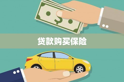 勉县贷款购买保险