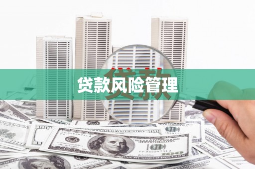 埔心贷款风险管理